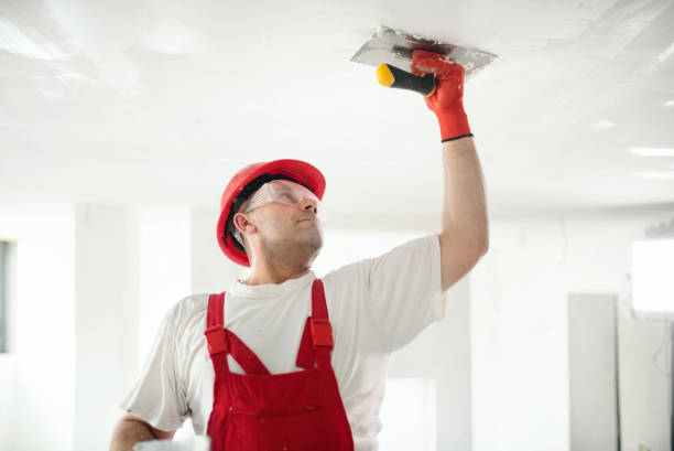 Best Exterior Painting  in Kewanee, IL